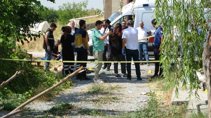 Tavuk Çiftliğindeki Cinayetin Firari Zanlısı Polise Teslim Oldu