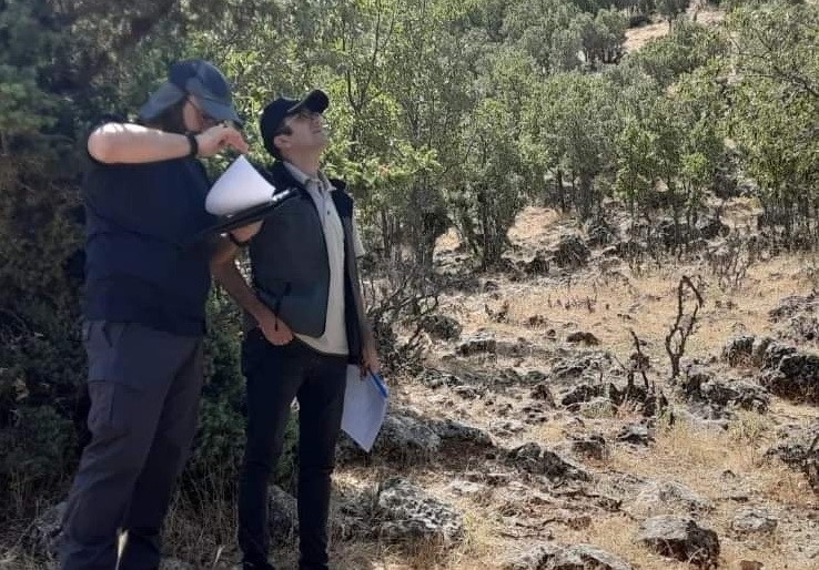 Gölbaşı’nda Ormanların Sağlığı Araştırılıyor