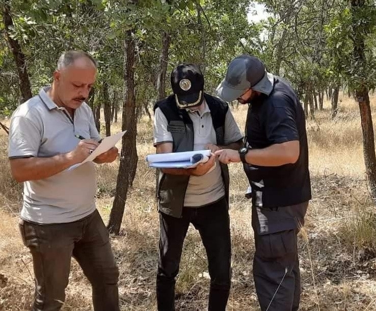 Gölbaşı’nda Ormanların Sağlığı Araştırılıyor
