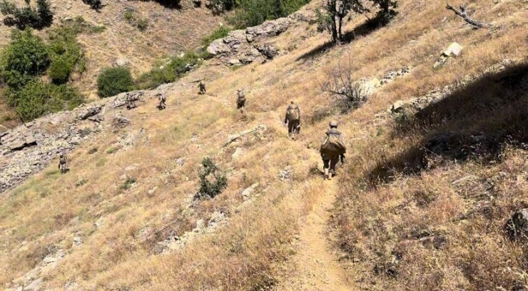 Diyarbakır’da 6 Milyon 836 Bin Kök Kenevir Ve Skunk Bitkisi Ele Geçirildi