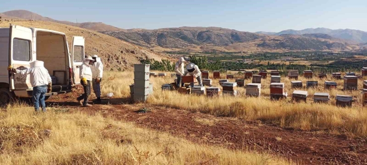 Adıyaman’da Bal Sağımı Yapılıyor