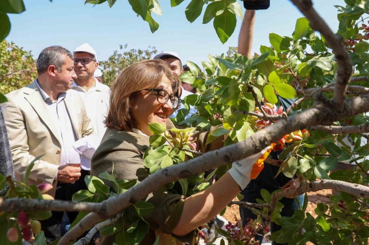 Şahin Barak Ovası’nda Hasada Katıldı