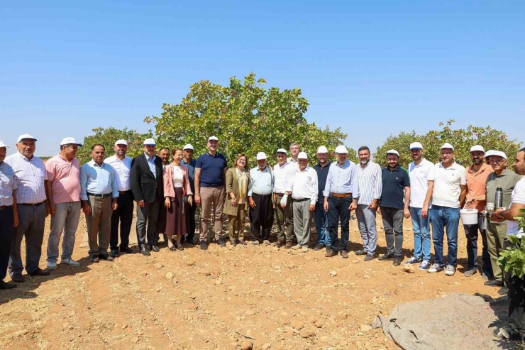 Şahin Barak Ovası’nda Hasada Katıldı