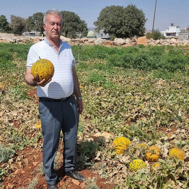 Altun: “tarlada Bedava, Rafta Ateş Pahası”