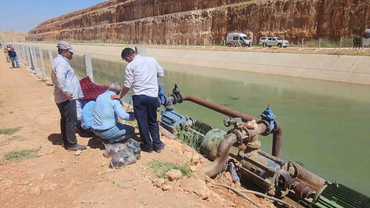 Şanlıurfa’da Sulama Kanalına Giren İki Kardeş Kayboldu