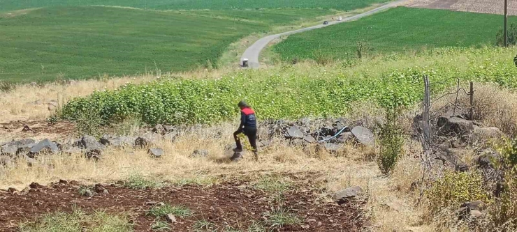 Diyarbakır’da Kayıp 8 Yaşındaki Kız, İz Takip Köpeği Ve Dron Desteğiyle Aranıyor