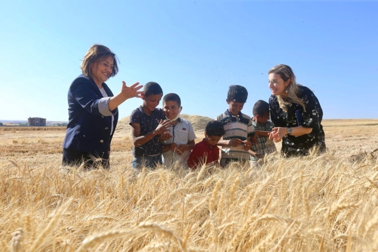 Çiftçiye 8 Milyon 432 Bin 925 Litre Mazot Desteği Verildi