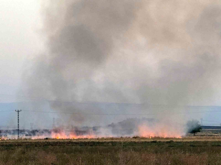 Diyarbakır’da Anız Yangını