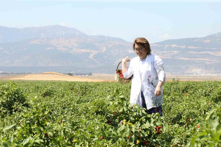 Gastroantep Kültür Yolu Festivali İle Gaziantep’in Mutfak Ve Kültür Zenginliği Yeniden Dünya Sahnesinde