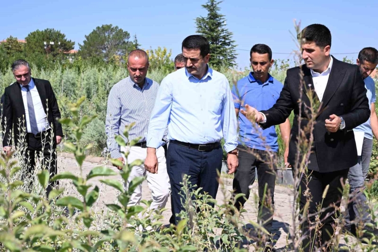 Başkan Taşkın: "yeşil Bir Battalgazi İçin Üretiyoruz"