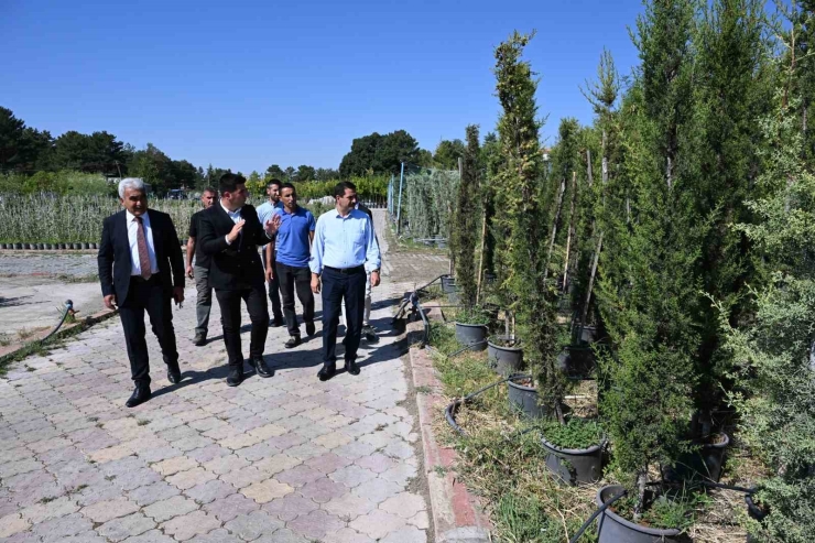 Başkan Taşkın: "yeşil Bir Battalgazi İçin Üretiyoruz"