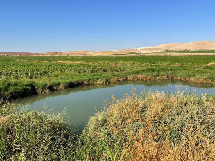 Harran Ovası’nda Oluşan Dev Obruklar Çiftçileri Korkutuyor