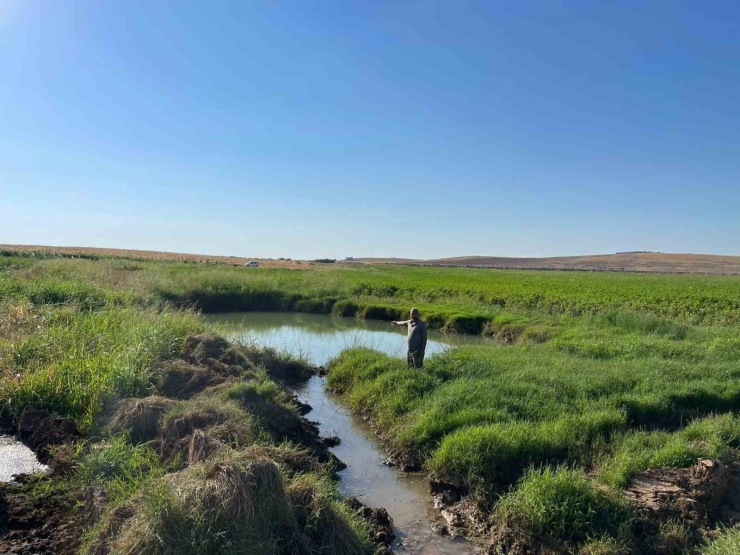 Harran Ovası’nda Oluşan Dev Obruklar Çiftçileri Korkutuyor