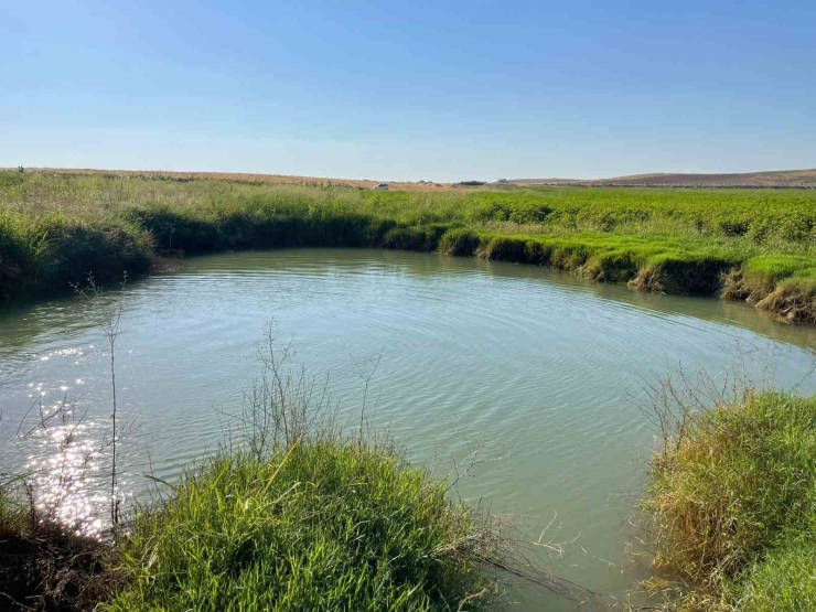 Harran Ovası’nda Oluşan Dev Obruklar Çiftçileri Korkutuyor