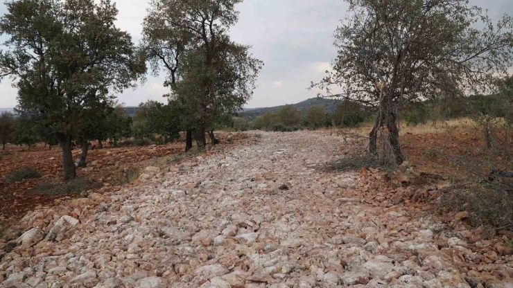 Başkan Yılmaz’a Arazi Yolu Teşekkürü