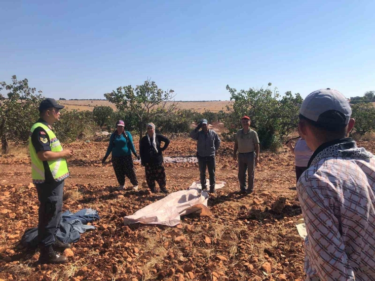 Jandarmadan Tarım İşçilerine Güvenli Trafik Eğitimi