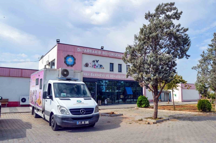 Diyarbakır’da 10 Köpek Mobil Araçla Kısırlaştırıldı