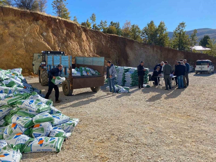 Çelikhan İlçesinde Fiğ Tohumu Dağıtıldı