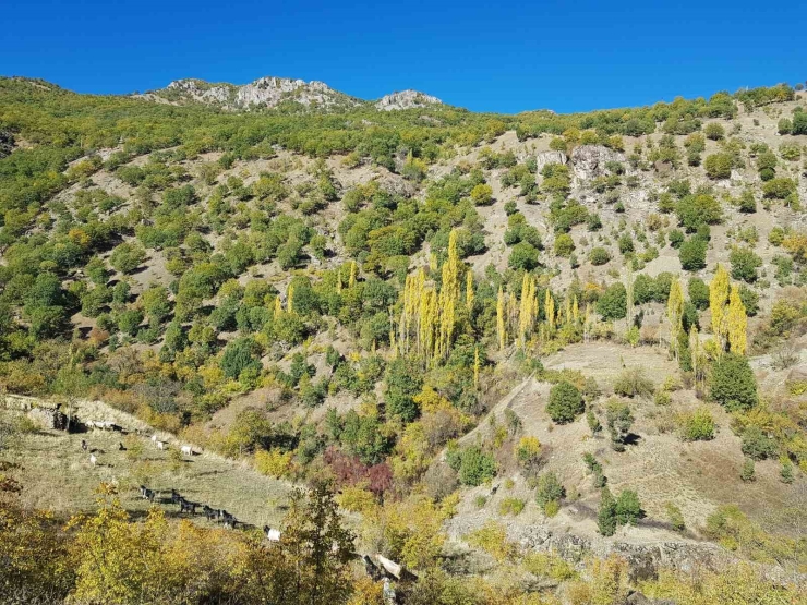 Kulp İlçesinde Sonbahar Güzelliği