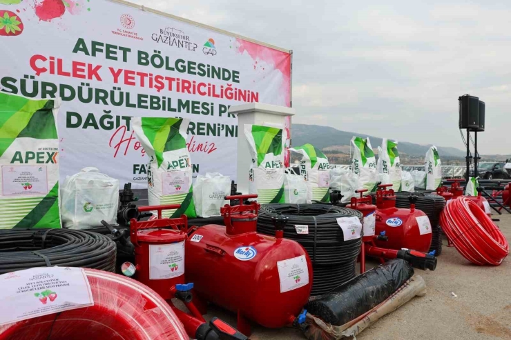 Gaziantep Büyükşehir’den Nurdağı’nda 200 Çiftçiye Çilek Üretimi İçin Destek