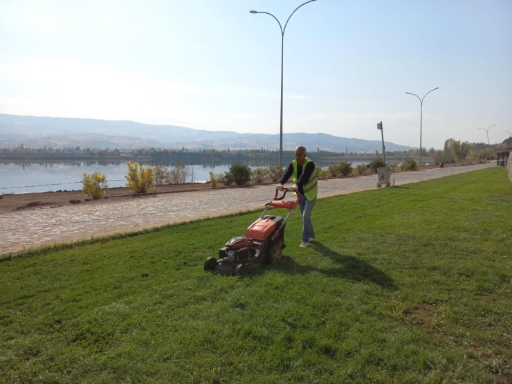 Peyzaj Çalışmaları Devam Ediyor