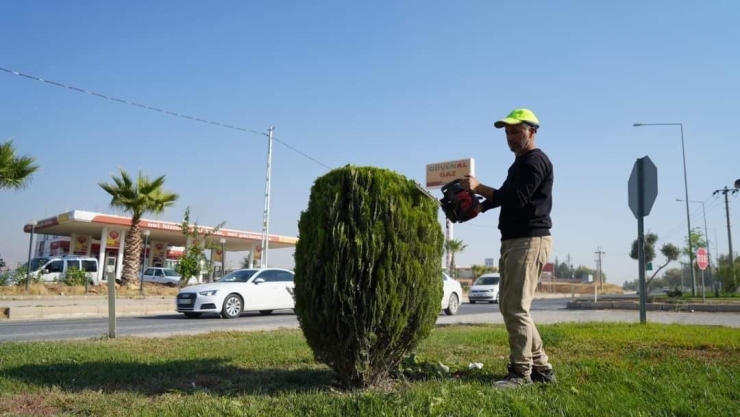 Adıyaman Belediyesi’nden Kente Estetik Dokunuş