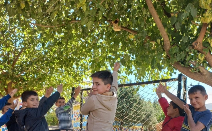 Silvan’da Kuş Yuvaları İle Ekosisteme Katkı