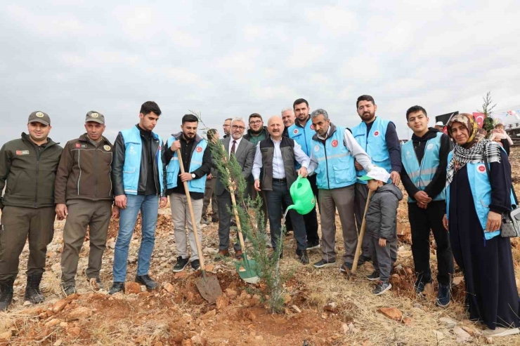 Adıyaman’da 11 Bin Fidan Toprakla Buluştu