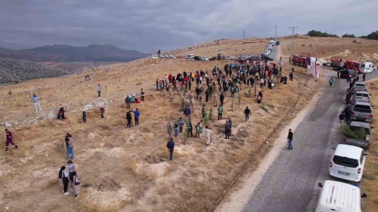 Adıyaman’da 11 Bin Fidan Toprakla Buluştu