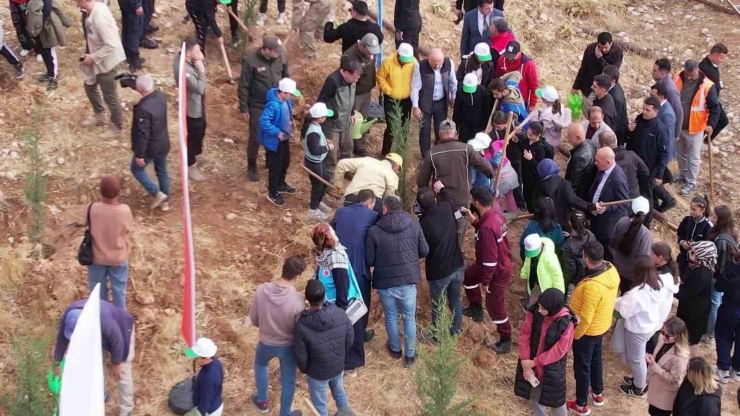 Adıyaman’da 11 Bin Fidan Toprakla Buluştu