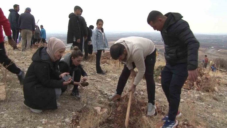 Adıyaman’da 11 Bin Fidan Toprakla Buluştu