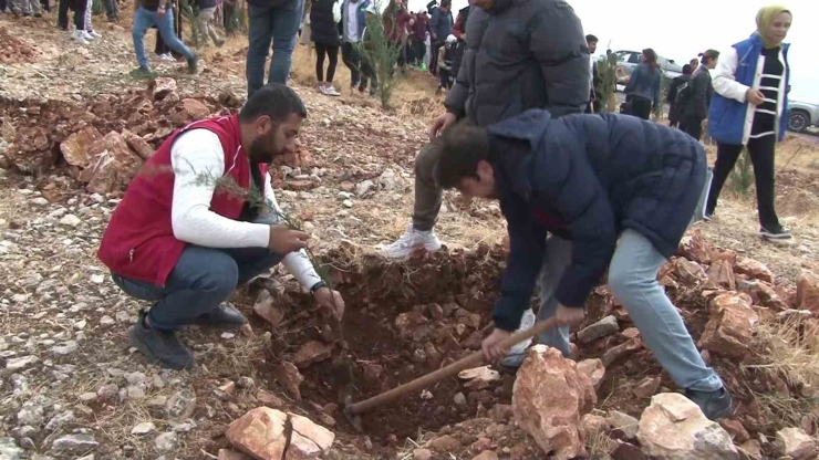 Adıyaman’da 11 Bin Fidan Toprakla Buluştu