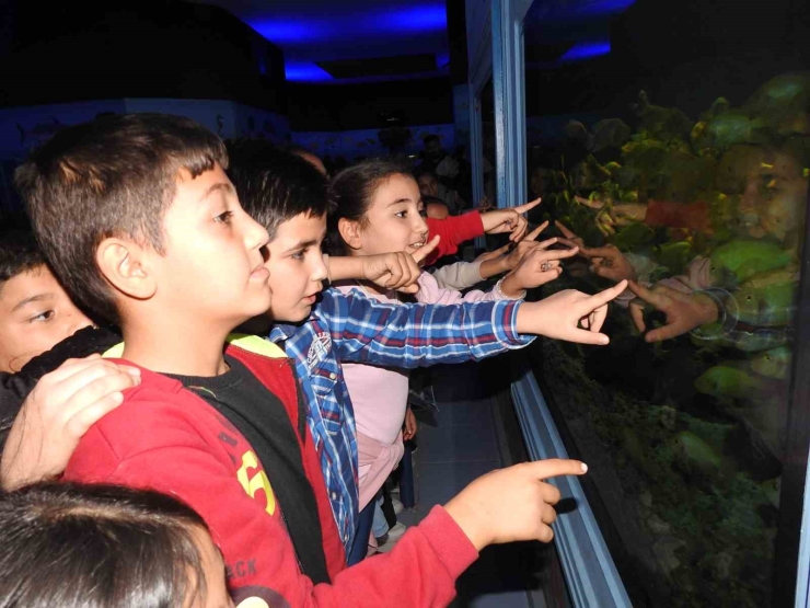 Gaziantep Doğal Yaşam Parkı’na Ara Tatilde Ziyaretçi Akını