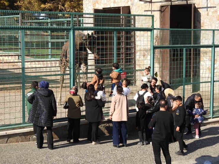 Gaziantep Doğal Yaşam Parkı’na Ara Tatilde Ziyaretçi Akını