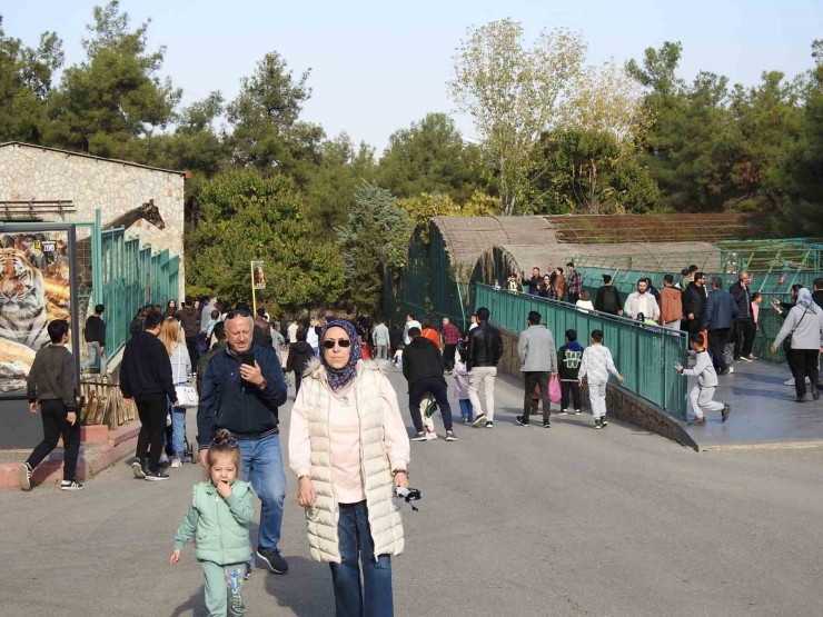 Gaziantep Doğal Yaşam Parkı’na Ara Tatilde Ziyaretçi Akını