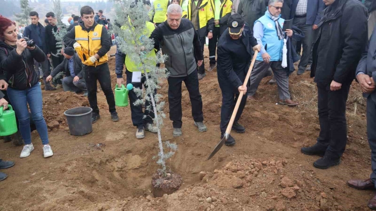 Malatya’da Fidanlar Toprakla Buluştu