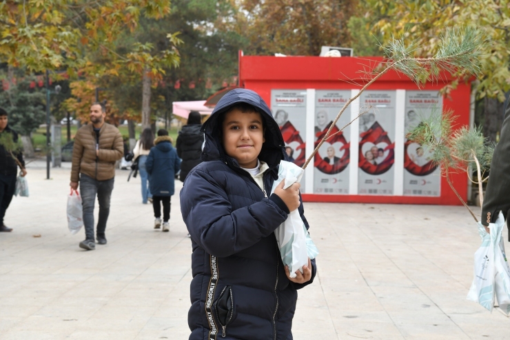 Yeşilyurt’ta Bin Adet Çam Fidanı Dağıtıldı