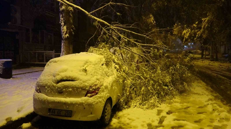 Malatya’da Kardan Kırılan Ağaç Dalları Araçların Üzerine Devrildi