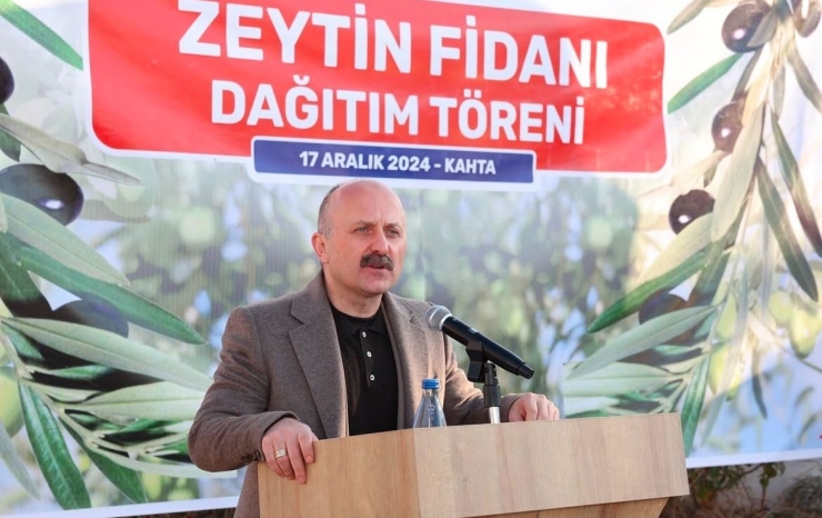 Kahta’da Çiftçilere 70 Bin Zeytin Fidanı Dağıtıldı