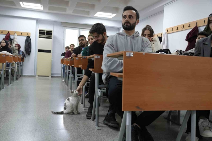 ‘labne’ Fakültede Öğrencilerle Derslere Giriyor