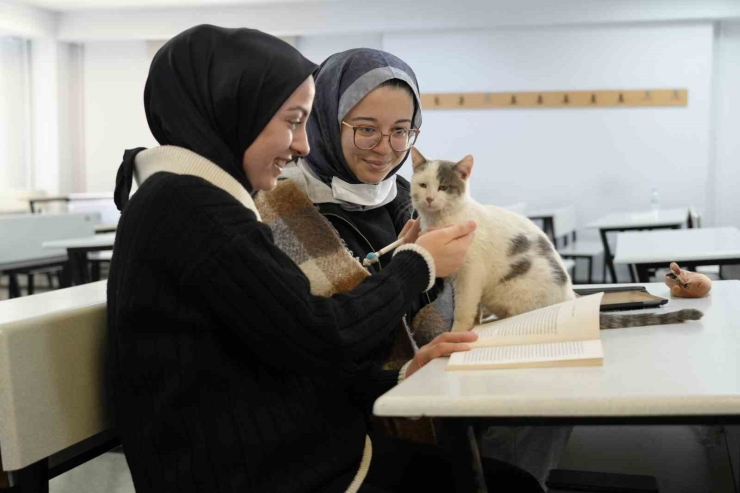 ‘labne’ Fakültede Öğrencilerle Derslere Giriyor