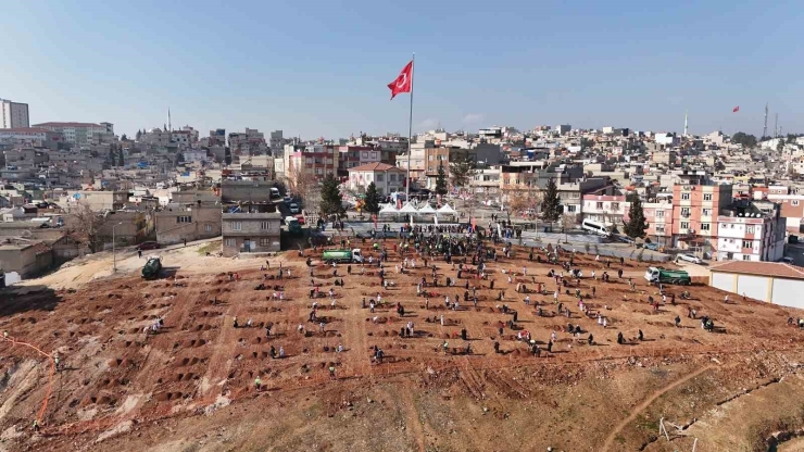 29. Etap Şehitkamil Ormanı Hacıbaba’da Oluşturuldu