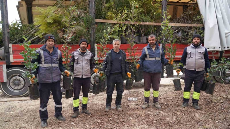 Mersin Büyükşehir Belediyesi’nden Adıyaman’a Yeşil Destek