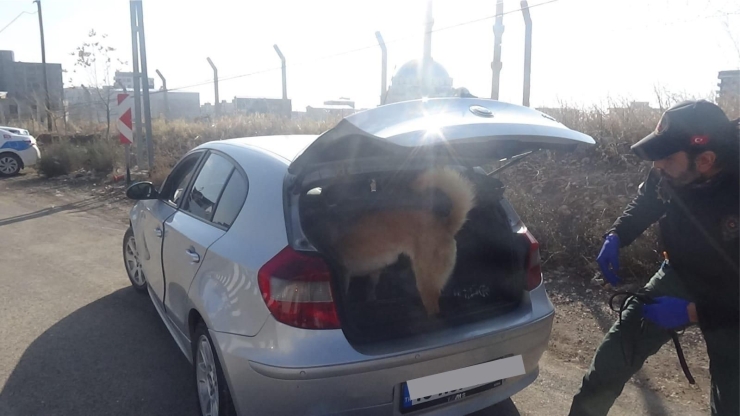 Kahta’da Narko-asayiş Uygulamasında Araçlara Ceza Yağdı