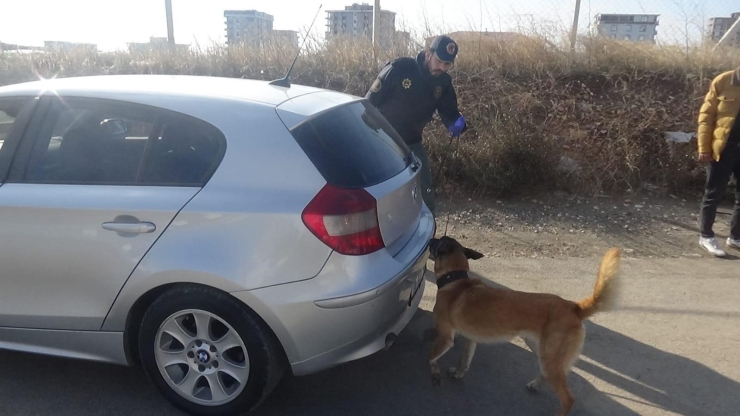 Kahta’da Narko-asayiş Uygulamasında Araçlara Ceza Yağdı