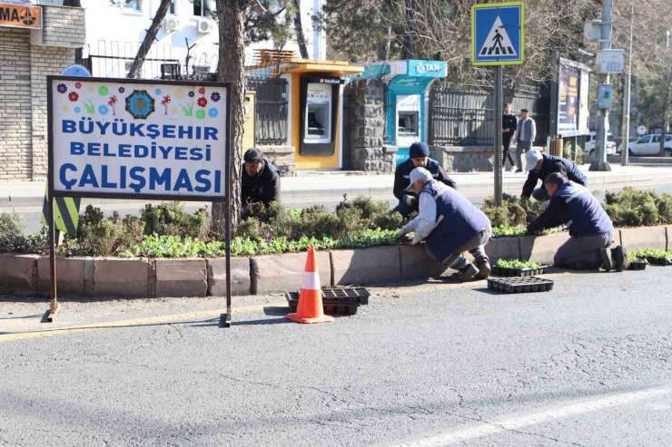 Diyarbakır’da Çiçeklendirme Çalışmaları Devam Ediyor