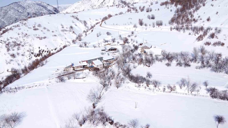 Arapgir’de Kar Geçit Vermiyor