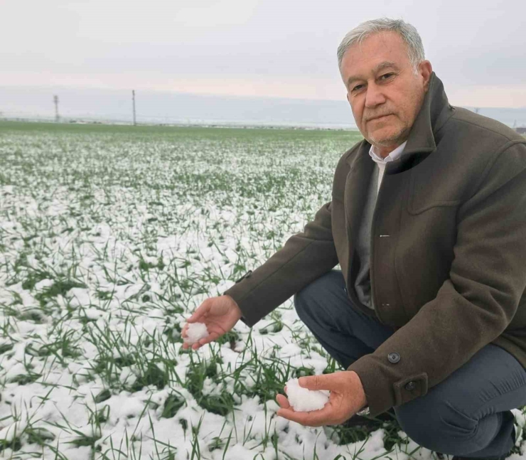 Araban Ovası’nda Kar Bereketi