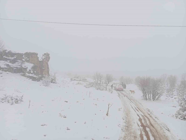 Eğil Belediyesi, Hastaneye Ulaşamayan Vatandaş İçin Seferber Oldu