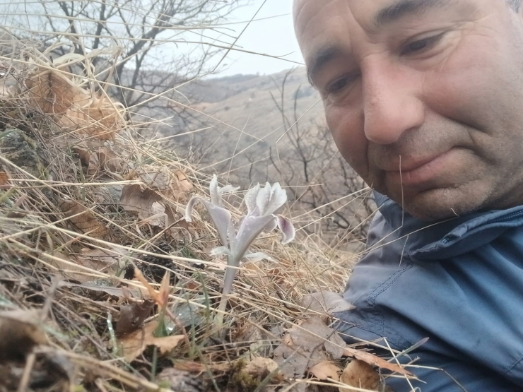 Malatya’da Kar Yağışı Devam Ederken Pütürge’de Nevruz Ve Badem Ağaçları Çiçek Açtı